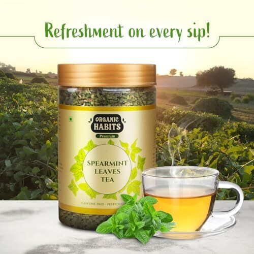 Organic Habits Spearmint Leaves Tea 100G | 100% Natural Dried Spearmint Loose Leaves Tea | Spearmint Herbal Tea | Caffeine-Free, Calming Tea, Relaxation Tea, Anti-Oxident Rich | Premium Reusable Pet Jar