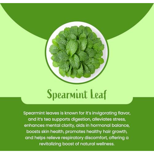 Organic Habits Spearmint Leaves Tea 100G | 100% Natural Dried Spearmint Loose Leaves Tea | Spearmint Herbal Tea | Caffeine-Free, Calming Tea, Relaxation Tea, Anti-Oxident Rich | Premium Reusable Pet Jar