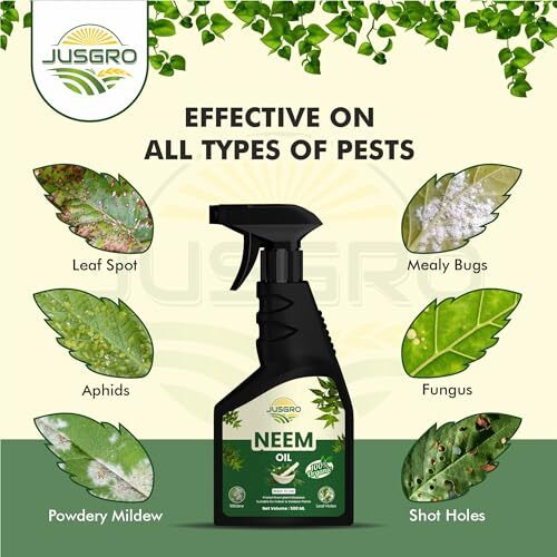 Jusgro Neem Oil For Plants Insects Spray | Plant Protection Spray All In One | Removes Mealybugs, Aphids, Fungus And Other Pests From Plants | Ready To Use | For Indoor And Outdoor Plants (500 Ml)