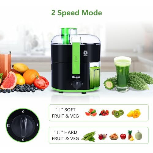 Rico 350 Watts Isi Marked & Fully Automatic Electric Juicer | Portable Juicer, Compact Design, Slow Juicing Process To Extract Maximum Juice From Fruits & Vegetables