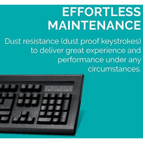 Tvs Electronics Gold Prime Mechanical Wired Keyboard | Dustproof Key Switches | Guaranteed 50 Million Keystrokes | 1.5 Meter Usb Cable, Usb Gold Keyboard (Black)