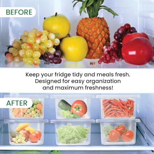 Milton Cryo Fridge Storage Boxes Set Of 6 Fridge Organizer Container With Waterproof Vinyl Stickers & Removable Drain Plate, Lid, Stackable Box, Plastic Containers 1500 Ml, Transparent