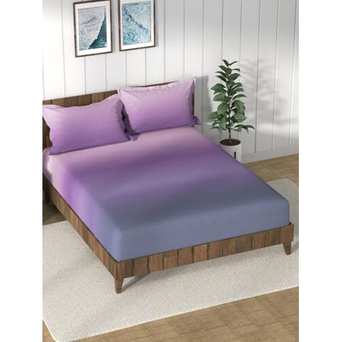 Nautica Super Soft 100% Cotton King Bedsheet And 2 Pillow Covers -3Pc Set (Bristol) | 160 Tc | Dust Proof Layer Added Solid-Lilac/Multi
