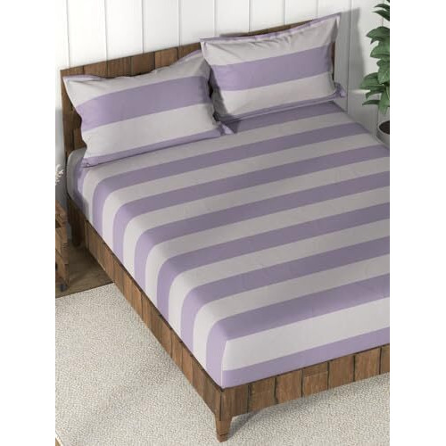 Nautica Super Soft 100% Cotton King Bedsheet And 2 Pillow Covers -3Pc Set (Bristol) Checks-Purple/Grey