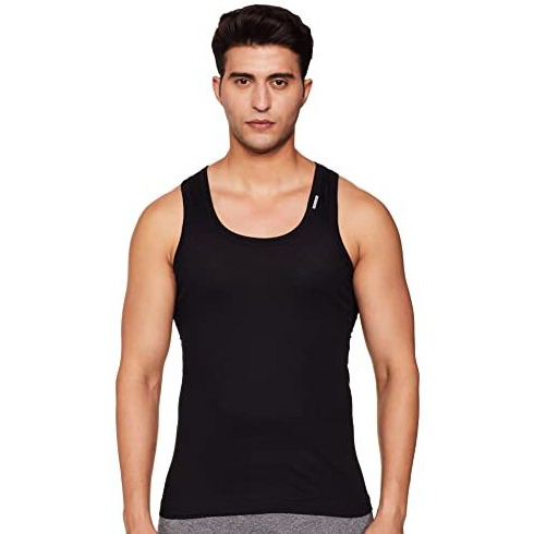 Rupa Frontline Men's Solid Vest (Pack Of 2) (Rflflv2Prn2P00090_Multiple_L)