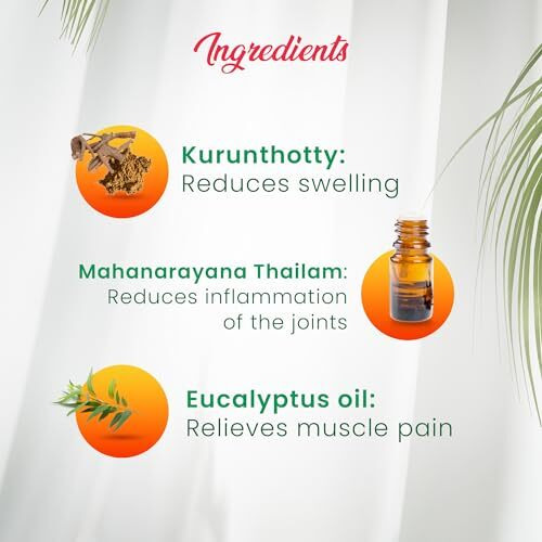 Dhathri Ayurveda Myactin Ortho Roll On For Pain Relief, Pain Relief Roll On For Muscle & Joint Pain, Made With The Ingredients Of Mahanarayana Thailam 30 G (Pack Of 2)