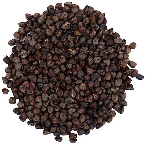 Yuvika Beej Band Kala - Bala Beej - Sida Cordifolia (400 Grams)