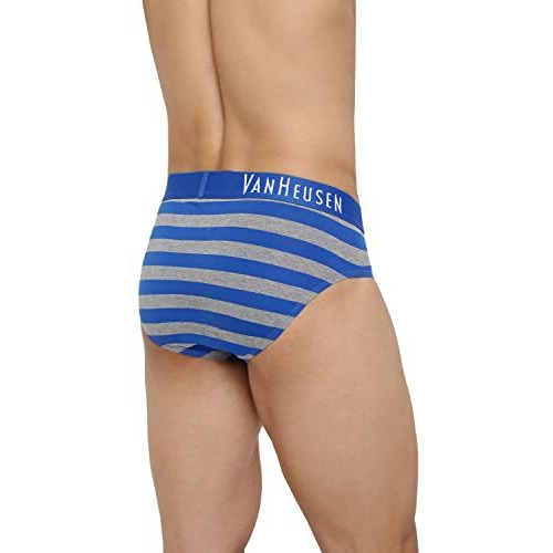 Van Heusen Men Cotton Colour Fresh Briefs - Striped_10015_Cys-08_L, Multicolor, Large