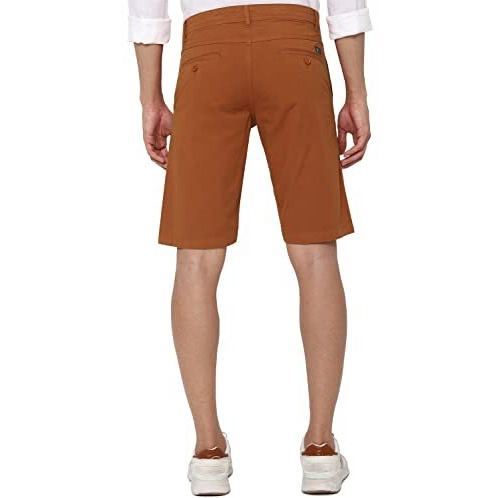 Allen Solly Men's Chino Shorts (Alsrvtlf806032_Rust_34)