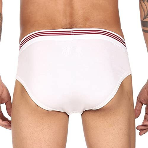 U.S. Polo Assn. Men Solid Cotton Spandex I650 Briefs - Pack Of 1 (White L)