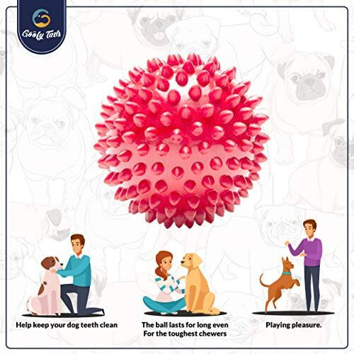 Goofy Tails Dog Ball Dog Toys Combo | 2 Dog Toy Combo Hole Dog Ball + Spike Ball for Dog| Toys for Dogs for All Breeds| Rubber Ball for Dogs| Dog Chew Toys to Play Fetch