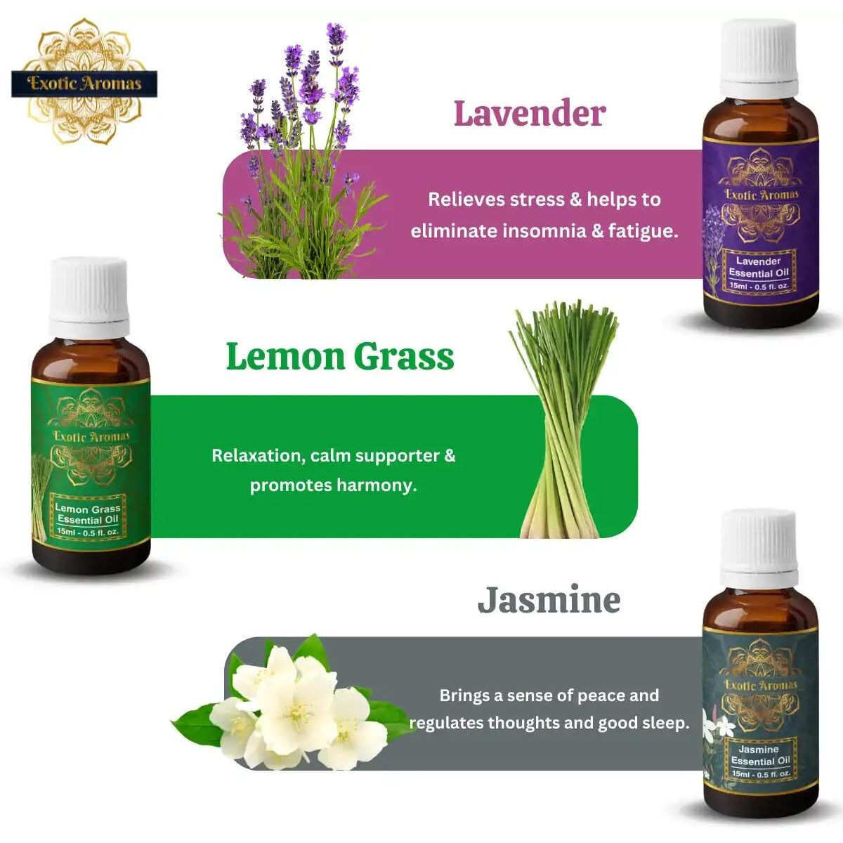 Exotic Aromas Essential Oil Lavender Rose Rosemary Orange Jasmine YlangYlang Tea Tree Eucalyptus Lemongrass Peppermint Lemon Citronella Pack of 12
