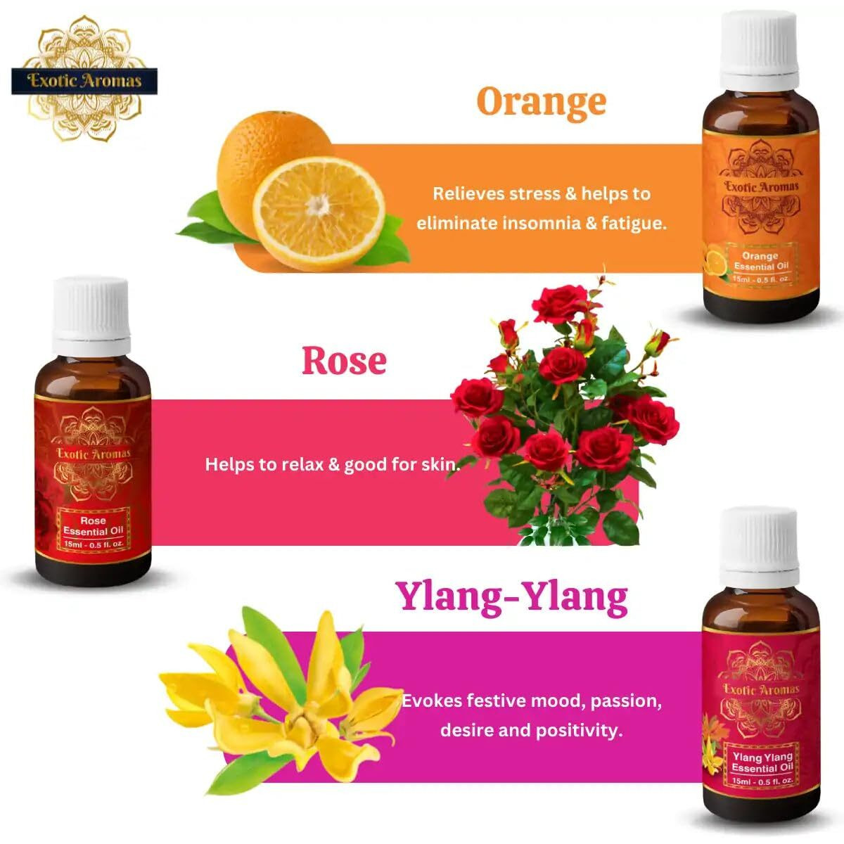 Exotic Aromas Essential Oil Lavender Rose Rosemary Orange Jasmine YlangYlang Tea Tree Eucalyptus Lemongrass Peppermint Lemon Citronella Pack of 12