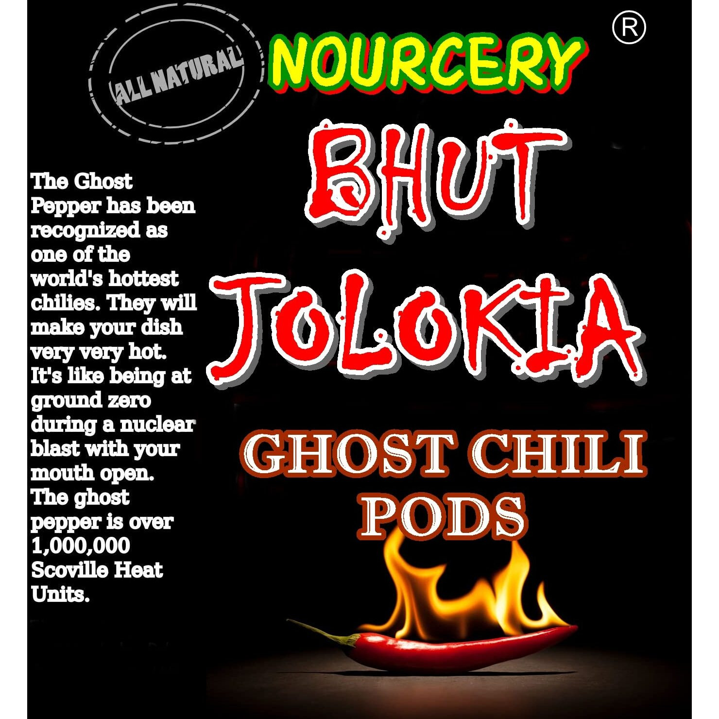 Nourcery Bhut Jolokia Chilli Whole 100 Grams | Ghost Pepper | Naga Chilli | King Chilli | Raja Mirchi | Sundried | Organically Grown | Fire up any dish with a dash of this chilli | Hottest Chilli in India Bhut Jolokia Pods (100gm), Vaccum Packed