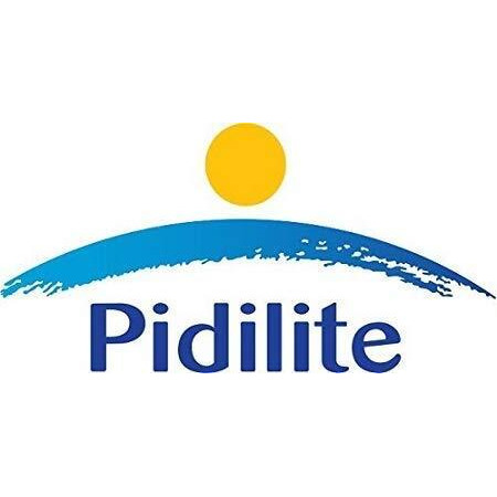 Pidilite Fevicryl Acrylic Colours (500 Ml) Crimson