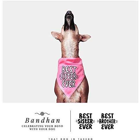 That Dog In Tuxedo Raksha Bandhan Best Sister Ever Rakhi Bandana for Dogs with Adjustable Dog Collar (Pink, XL)
