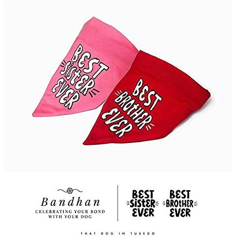 That Dog In Tuxedo Rakhi Raksha Bandhan Best Sister Ever Bandana For Dogs With Adjustable Dog Collar (Pink, M-L), 1 Count