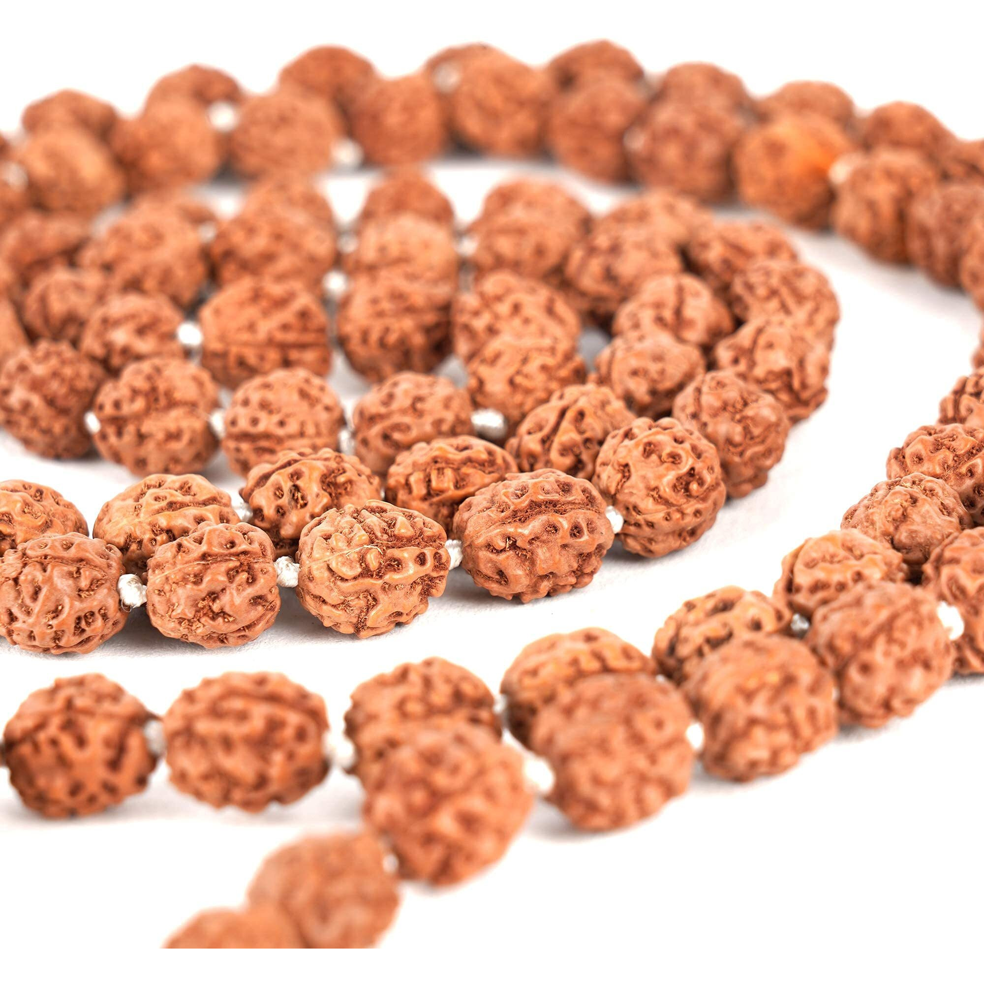 Arihant Gems & Jewels 2/3 / 4/5 / 6 Mukhi/Faced 108+1 Beads Rudraksha Jaap Mala | Natural & Certified | Astrological Three Mukhi/Faced Rudraksha | Unisex Both for Men & Women (2 Mukhi)