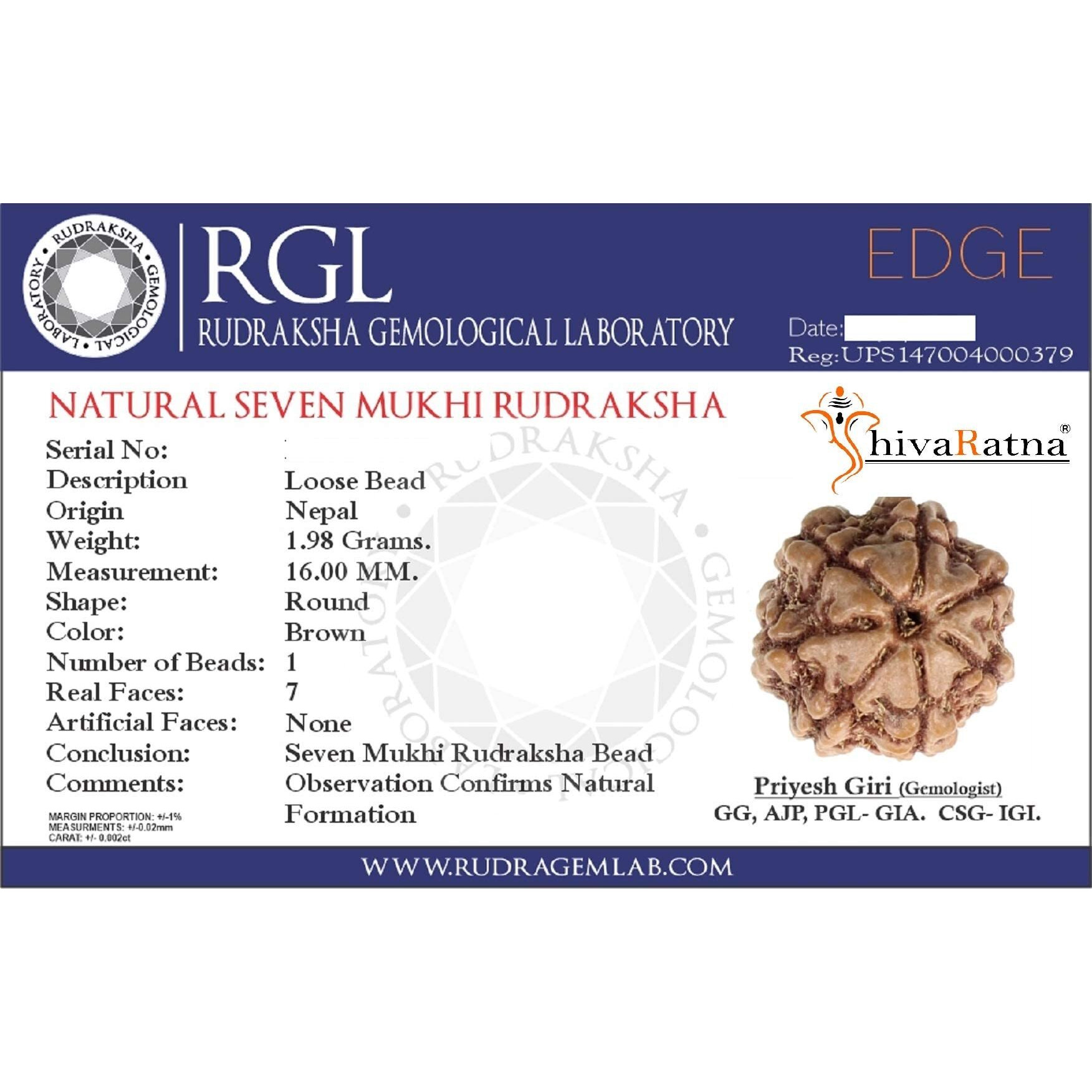 SHIVARATNA Unisex Adult 7 Mukhi Rudraksha (Nepal) + 109 Beads Of 5 Mukhi Rudraksha Mala (Pure Silver Cap & Lab Certified)