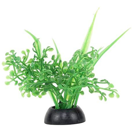 Jainsons Diwali Gift Fish Glass Bowl with Baby Plant Multi Color Stone and Artificial Fish (6 inch, Green1)