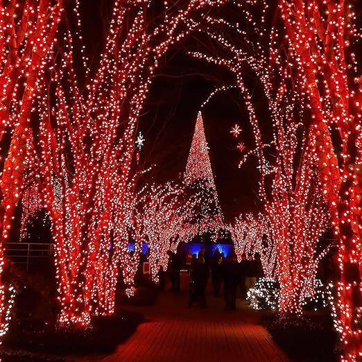 Lexton 36 Feet Long 40 LED Power Pixel Serial String/Fairy Light | Plug Sourced | Suitable for Home & Outdoor Decoration, Diwali, Christmas, Ramadan, Wedding, Party, Festival (Pack of 5, Red)