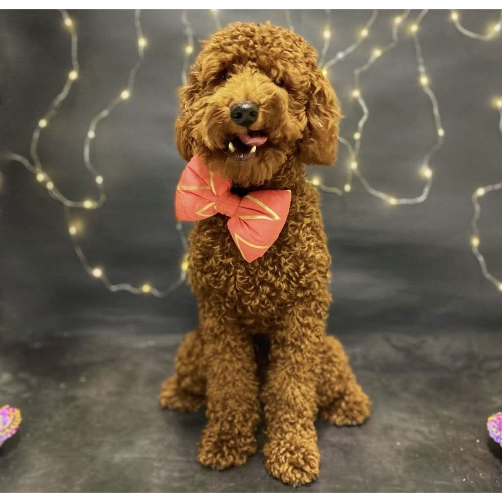 For The Fur Kids Traditional Dog Bow Tie for Diwali, Festivals, Weddings (Multi-Coloured) (Pink Chevron)