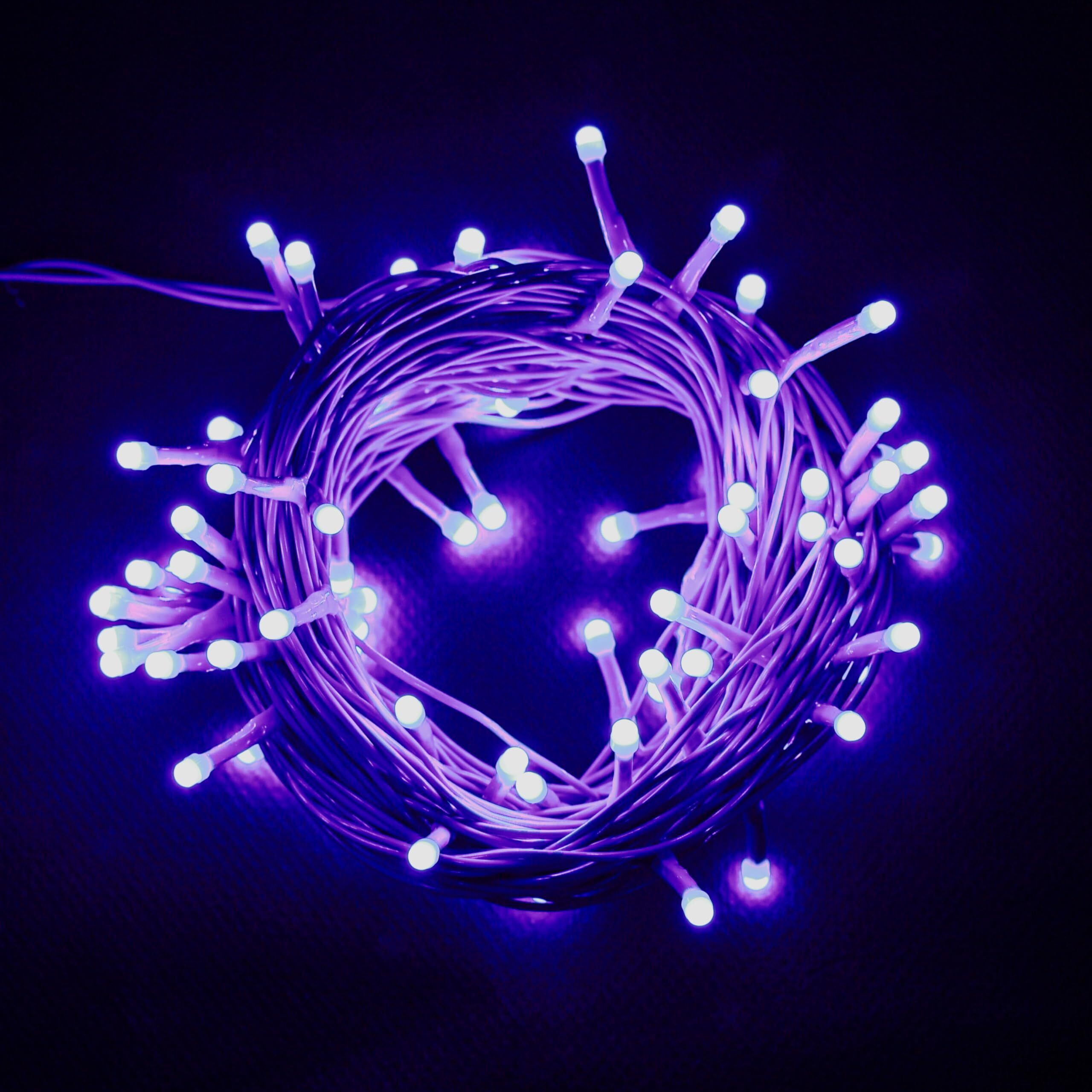 Lexton Lunar Decorative String Light/Fairy Light | 12.5 Meter, 75 LEDs | Plug Sourced | Suitable for Home & Outdoor Decoration, Diwali, Christmas, Wedding, Party, Lawn (Pack of 10, Blue)