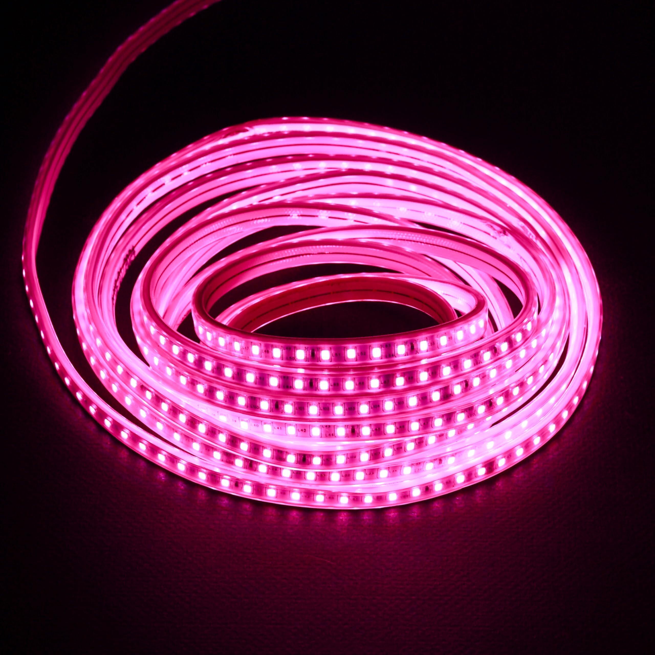 Lexton 5 Meter LED Rope Light for Home Decoration- Cove Light for Ceiling | Led Rope Lights for Diwali Decoration,Birthday,Christmas| for Indoor & Outdoor Decorations | (Pink, Pack of 1)