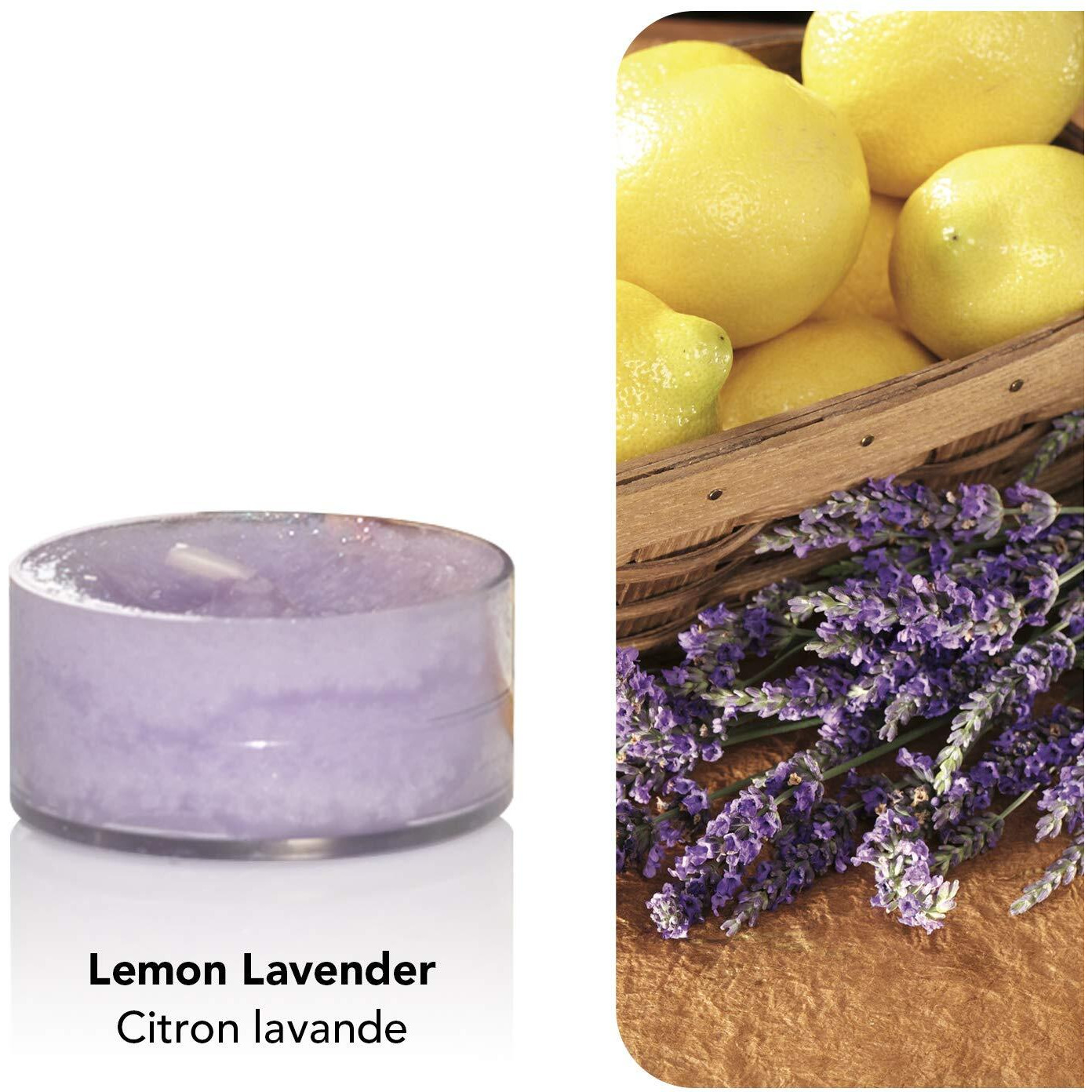 Yankee Candle Lemon Lavender Tea Light Candle (8.31 cm x 8.31 cm x 5.99, Purple, Set of 12)
