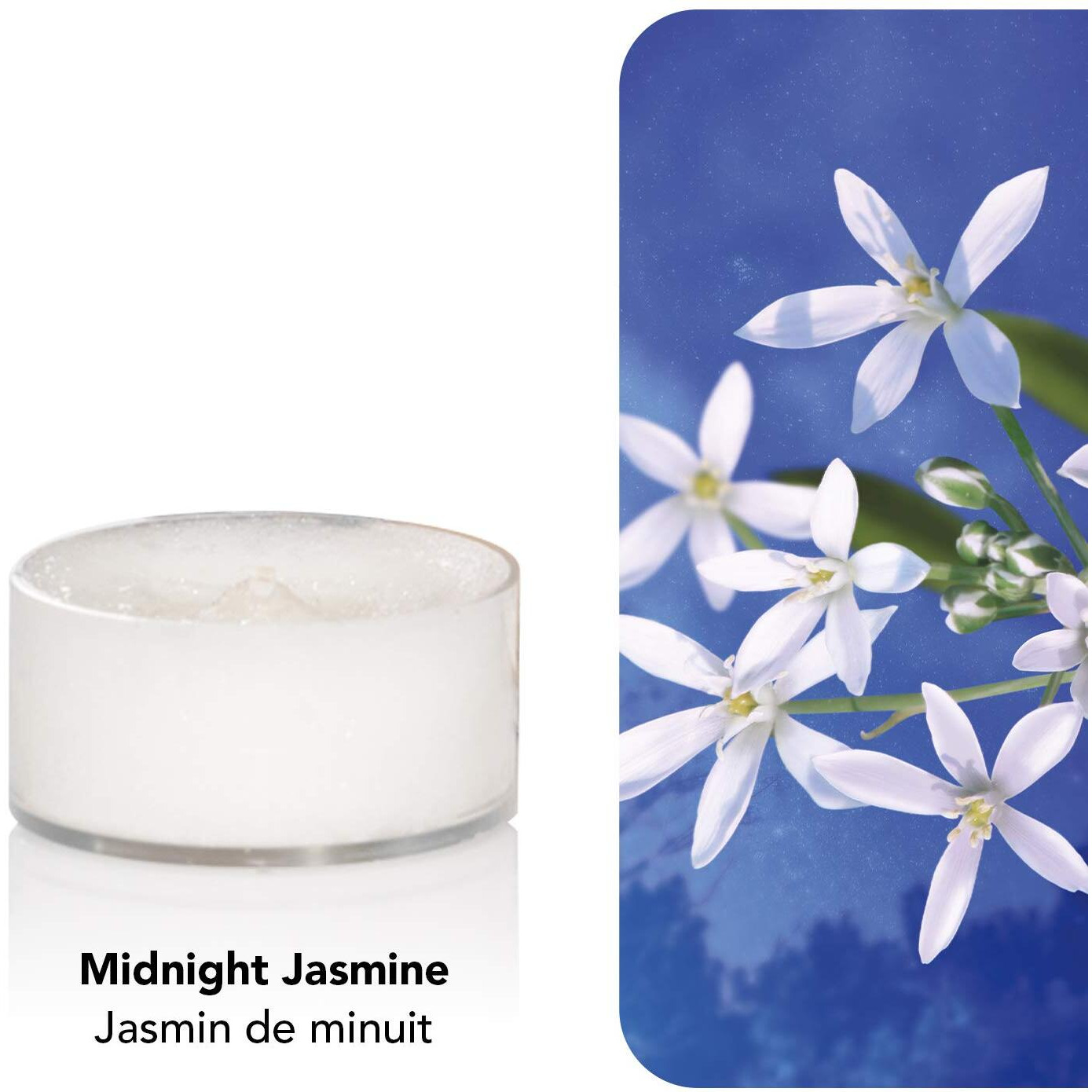 Yankee Midnight Jasmine Tea Light Candle (8.31 cm x 8.31 cm x 5.99, White, Set of 12)