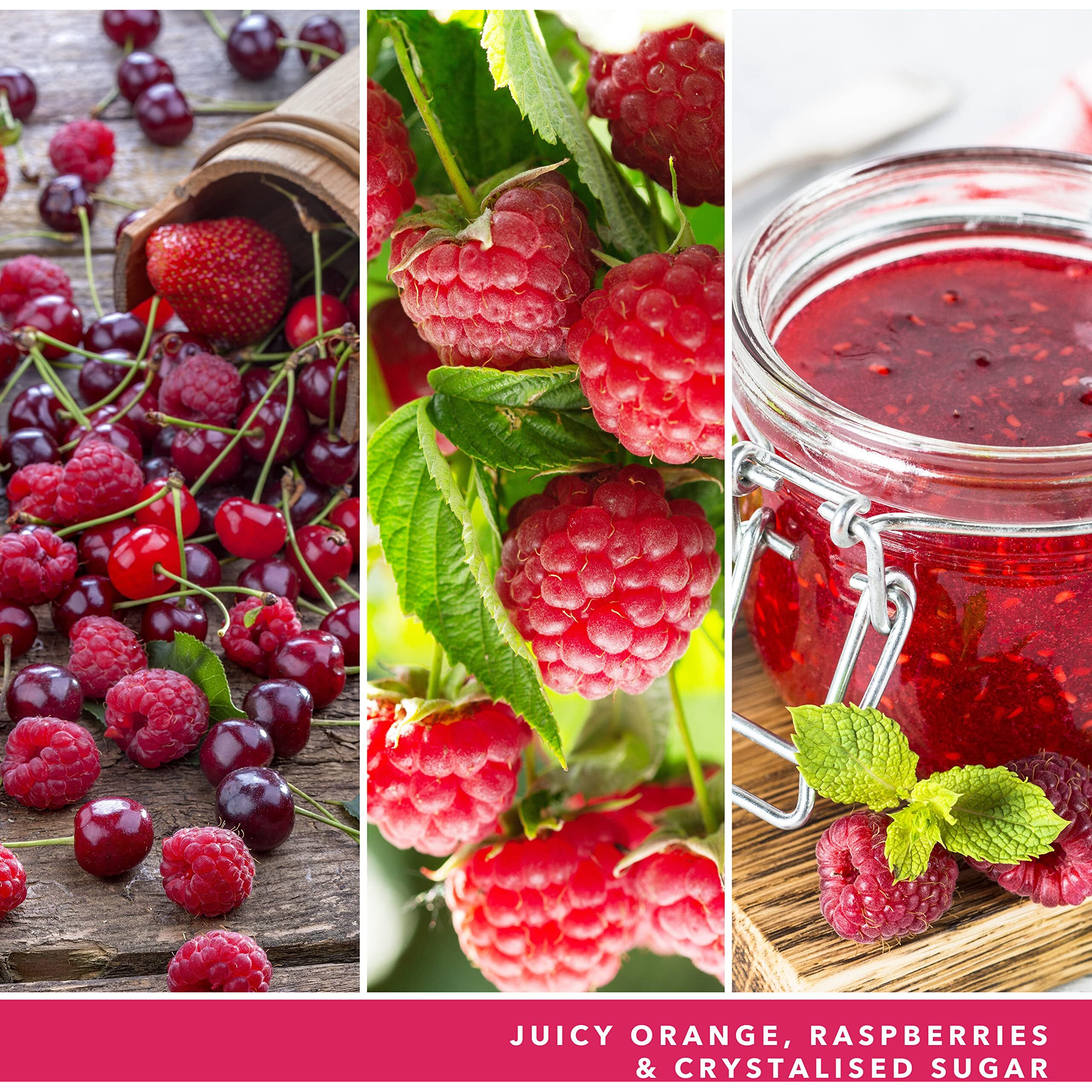 Yankee Candle Company Red Raspberry Large Jar Candle