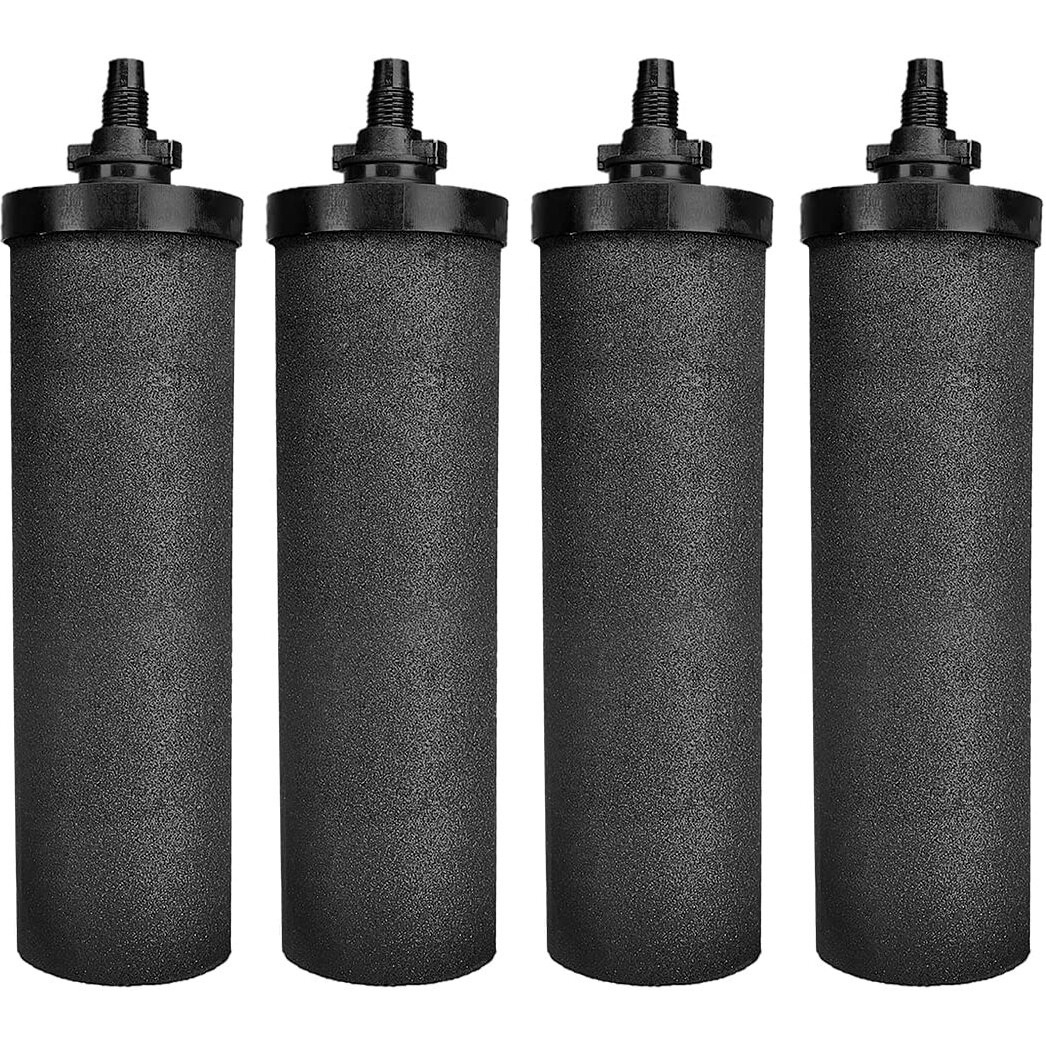 RAMA Gravity Water Filter, 16 Litre Storage (32 Litre Total Capacity) 304 High Grade Stainless Steel Water Purifier for Home, 10 Year Manufacturer Warranty with 4 Carbon Candle and Stainless Steel Tap