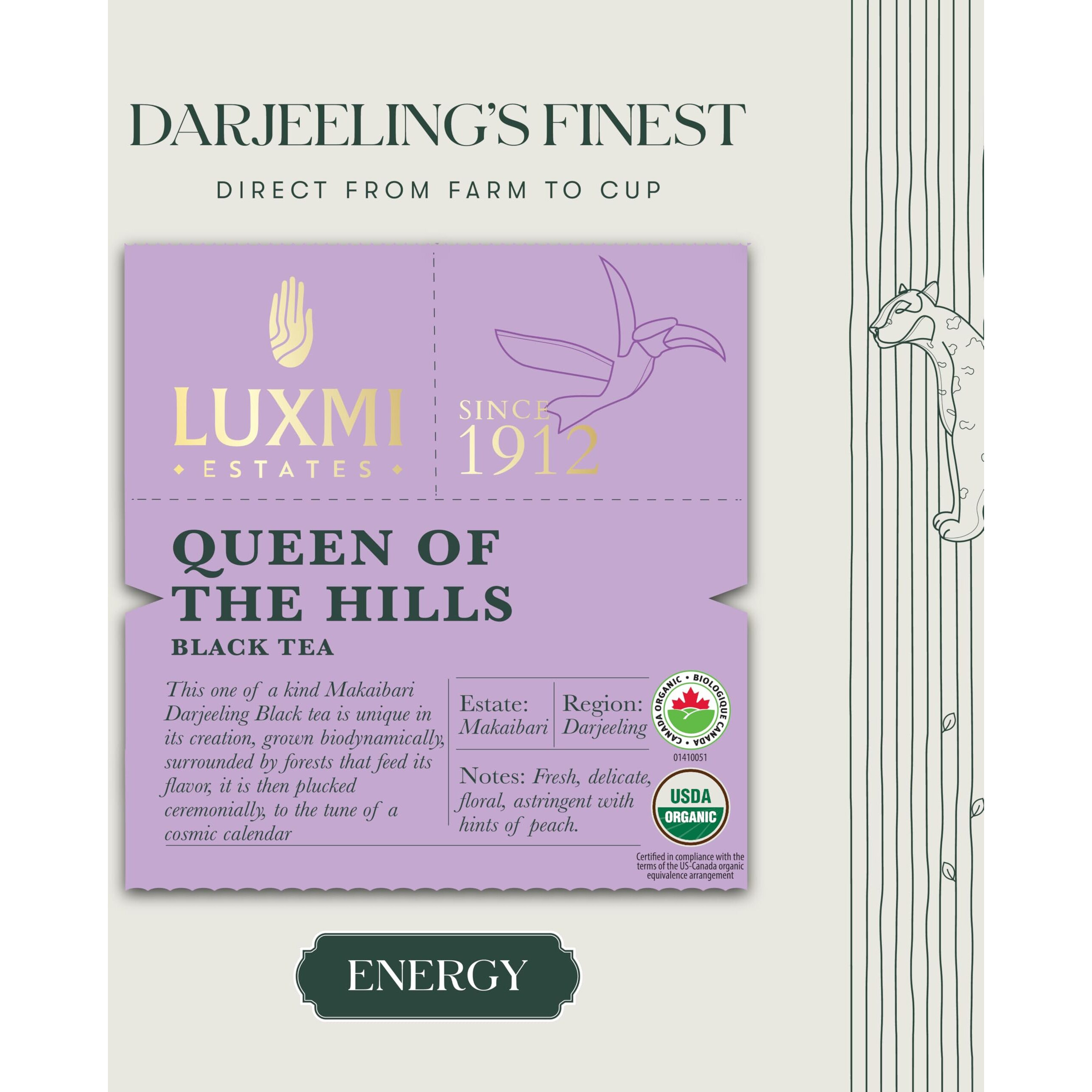 Luxmi Estates Queens Black Tea Blend 50 Tea Bags (100gm) Pack | Certified Organic Black Tea | Kosher, Gluten Free | No Additives | 50 Cups