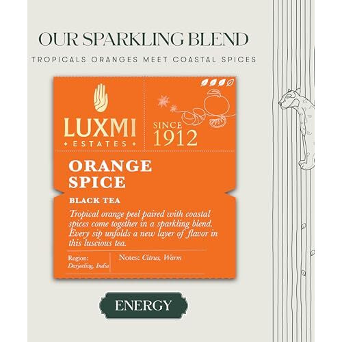 LUXMI Estates Orange Spice Black Tea Loose Leaves 100Gm Tin Caddy | Certified Organic Black Tea | Smooth, Flavorful, Robust, Caffeinated | Darjeeling Tea From India | 50 Cups
