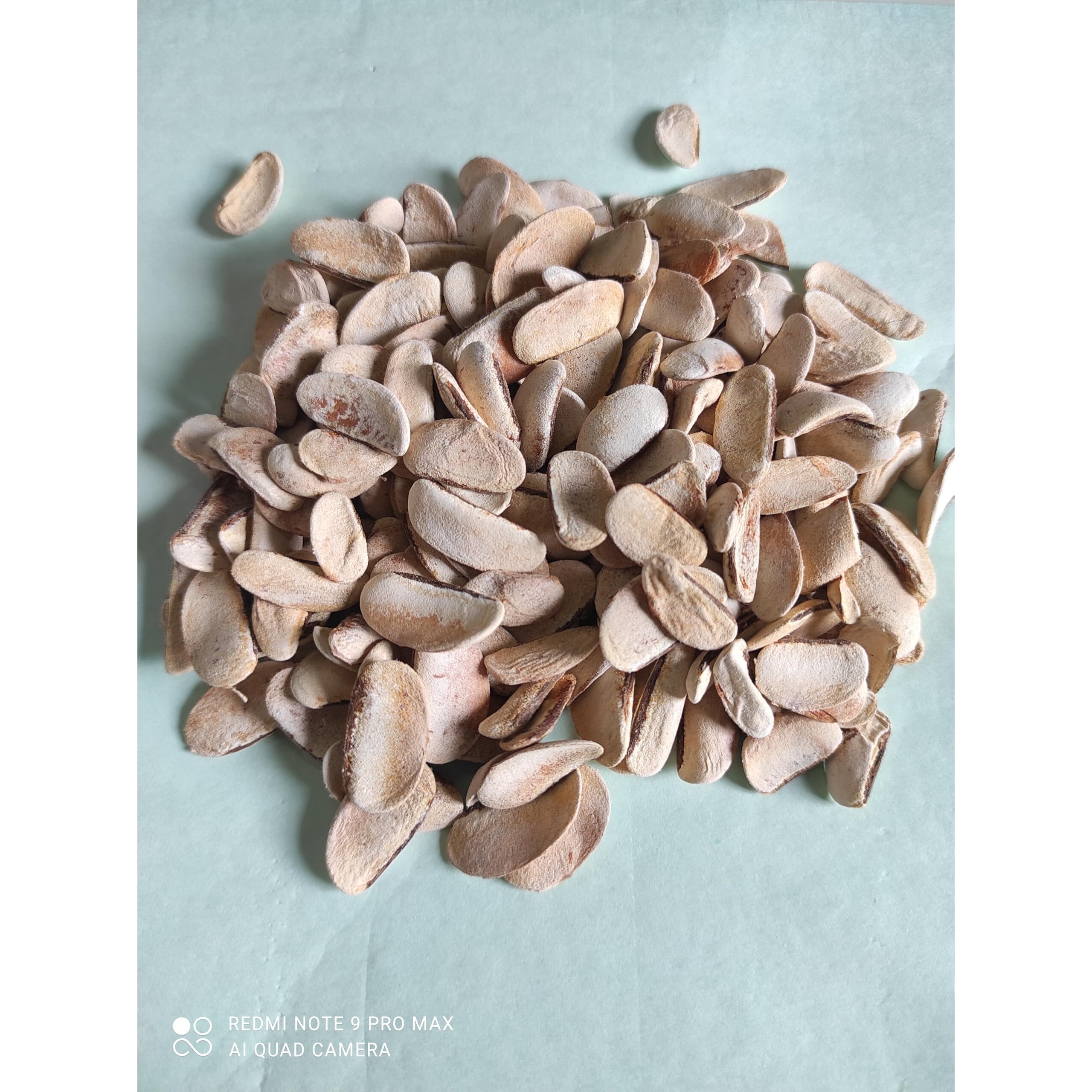 Sky Fruit Peeled | Kadwa Badam (Bitter Almonds) | Natural Nutrients | Premium Seed Source | Quality Seeds - 100 gm
