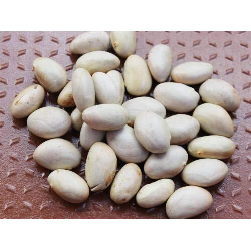 LJL Traders Organic Fresh Jackfruit Seeds Suitable for Eating and Planting (Product of Kerala) - 200 g (Pack of - 1)
