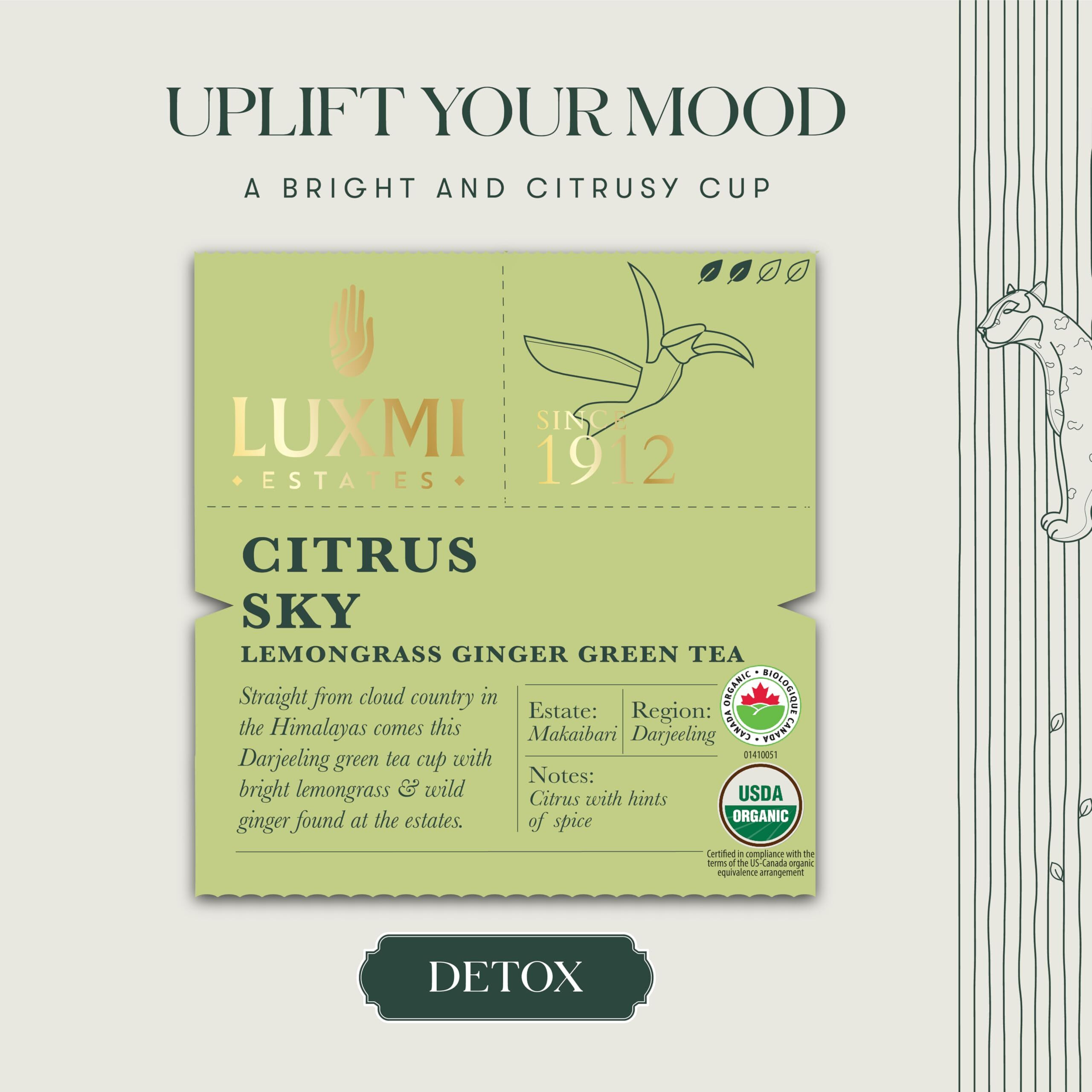 LUXMI Estates Citrus Sky Lemongrass Ginger Green Tea - 25 Tea Bags (50 Gm) Pack | Certified Organic Darjeeling Green Tea | Calming Citrus Flavor & Aroma | Natural Lemon Balm Tea