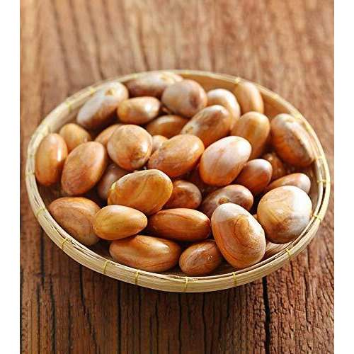 LJL Traders Organic Fresh Jackfruit Seeds Suitable for Eating and Planting (Product of Kerala) - 200 g (Pack of - 5)