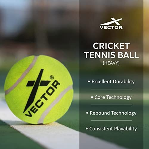 Vector X Tennis Balls, Duty Felt Pressurized Tennis Ball -High Bounce Training Exercise Tennis Balls for Beginners & Pet Dog Playing Balls (Pack of 6)