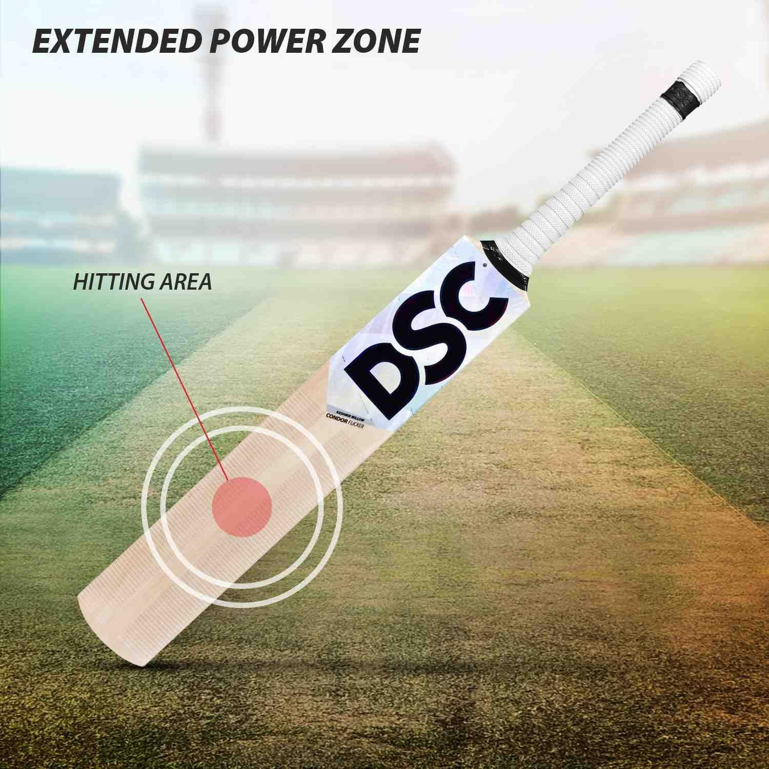 DSC Condor Flicker Kashmir Willow Cricket Bat Short Handle Mens