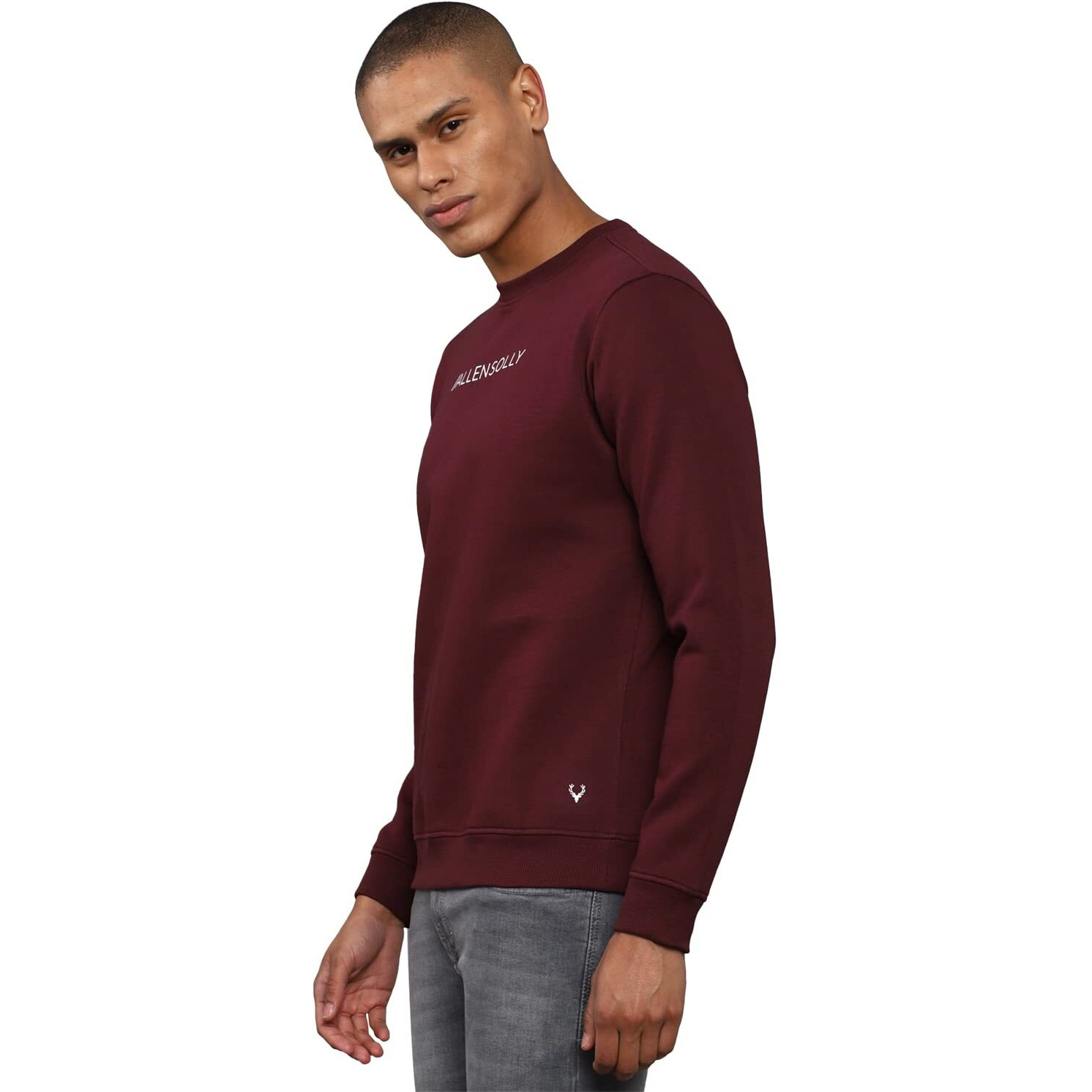 Allen Solly Men Cotton Regular Crew Neck Casual Sweatshirt Pink, XL