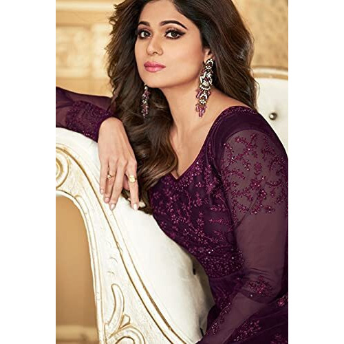 PATLANI Women's Net Fit and Flare Maxi Dress (Wine-Shamita-G-002_Purple