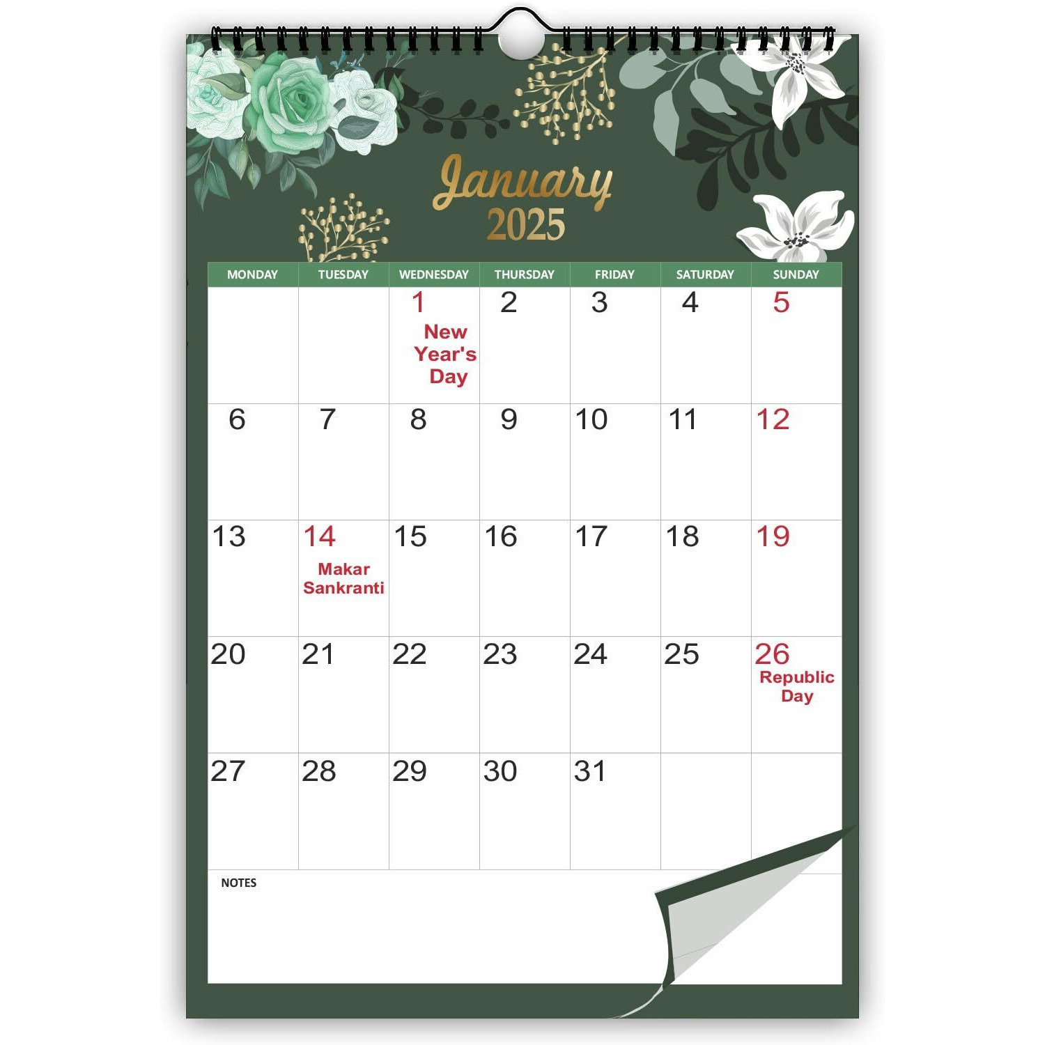 AccuPrints Colored 2025 Wall Hanging Calendar and Planner (12 x 18 inches) Paper -130 gsm