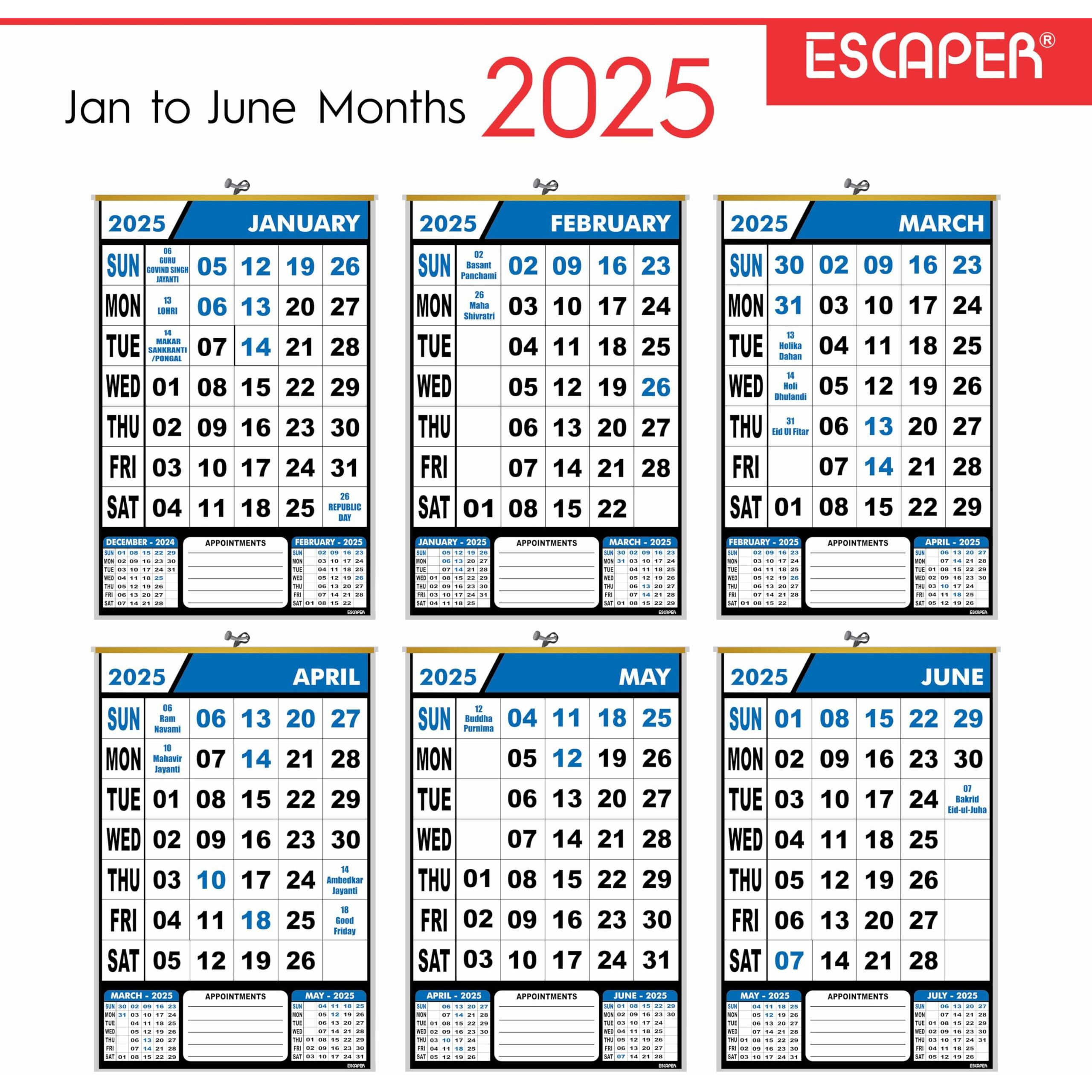 ESCAPER 2025 Wall Calendar Hanging for Home & Office Use, Office Wall Calendar 2025 Hanging, Home Wall Calendar Hanging, Indian Holidays Mentioned, Appointment Planning (Blue, 20 Qty)
