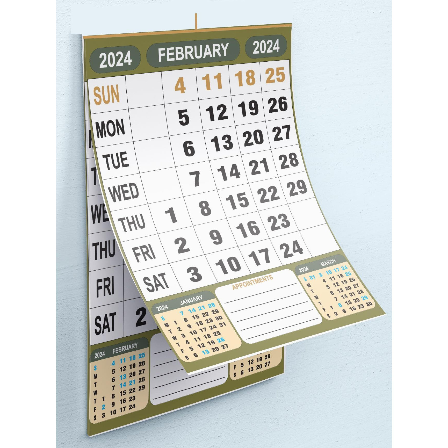 AccuPrints 12 Pages 2025, 14 by 20 inch Offices Wall Calendar Large Dates with Space for Marks/Notes-Green Color