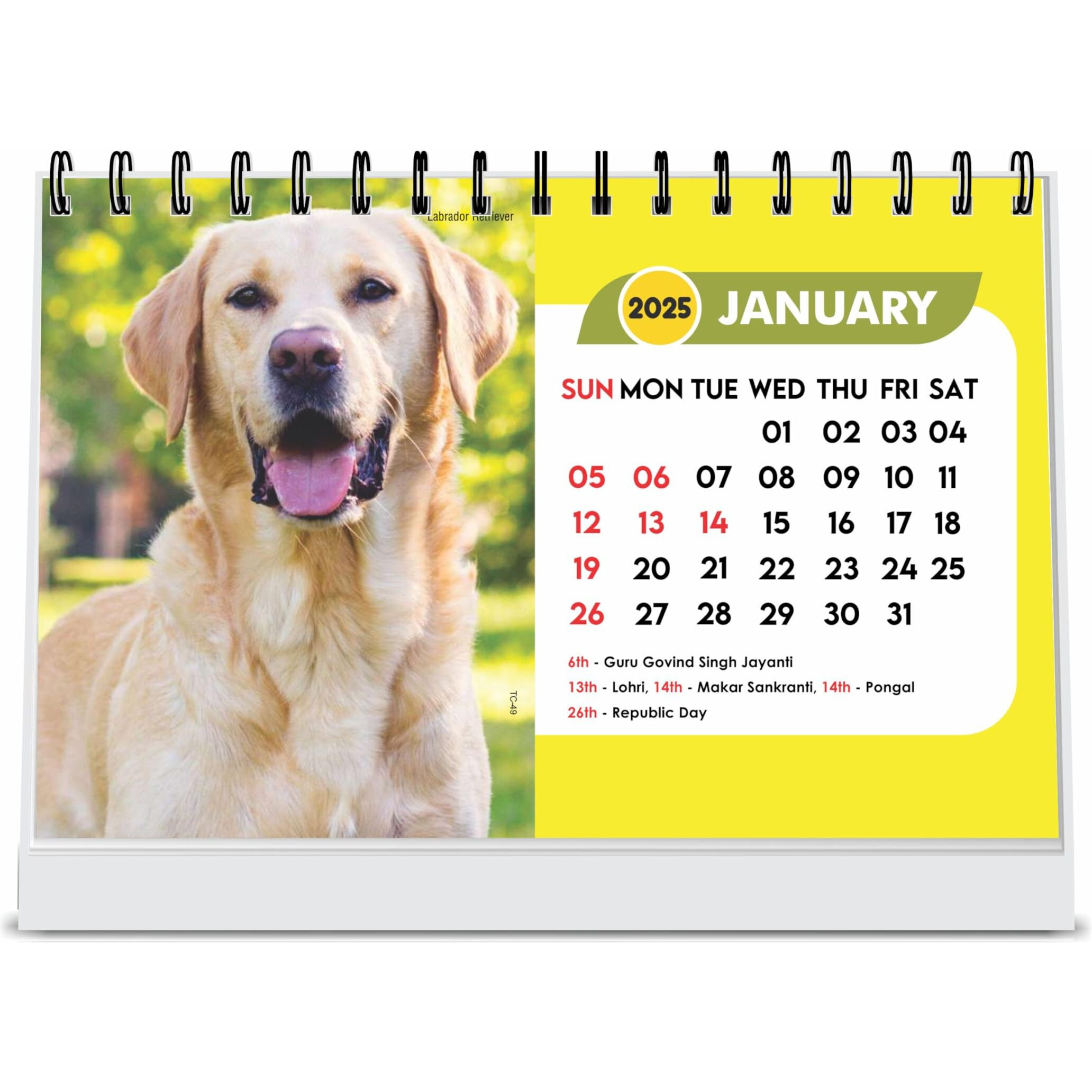 ESCAPER Dogs Calendar 2025 Desk, Cute Puppy Calendar 2025, Puppies Calendar 2025, Cats Calendar 2025, Birds Calendar 2025, Parrot Photo, Dog Photo, Animal Calendar 2025 (Cats & Dogs, 10 Qty)