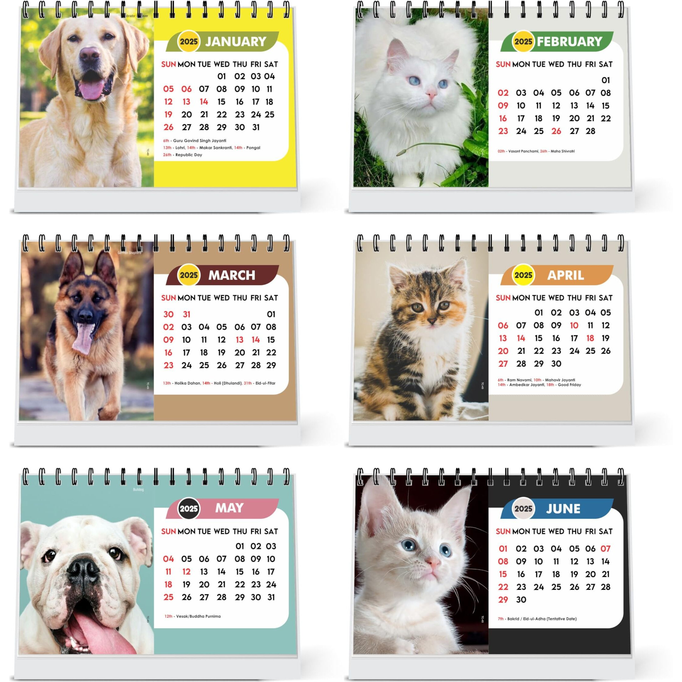 ESCAPER Dogs Calendar 2025 Desk, Cute Puppy Calendar 2025, Puppies Calendar 2025, Cats Calendar 2025, Birds Calendar 2025, Parrot Photo, Dog Photo, Animal Calendar 2025 (Cats & Dogs, 10 Qty)