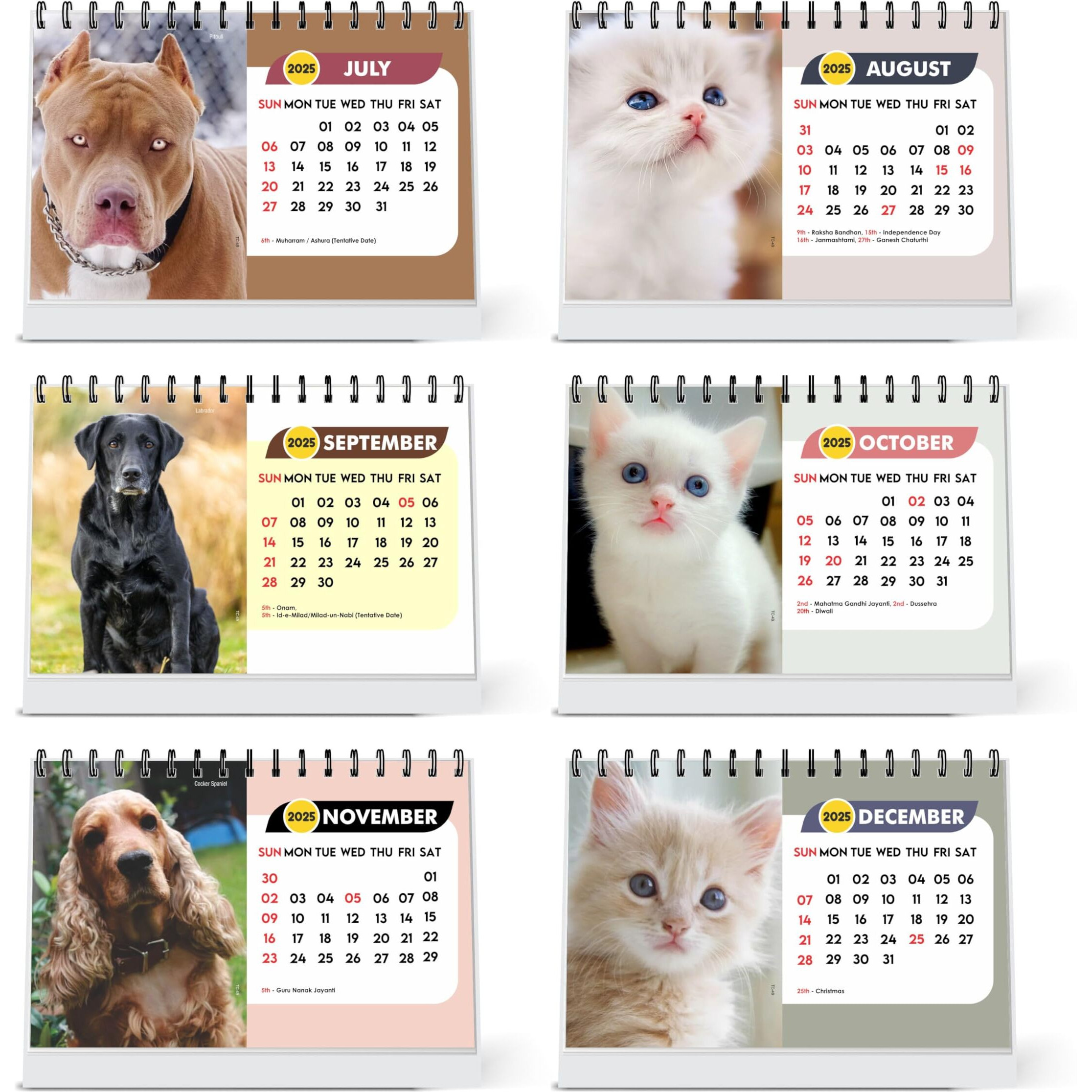 ESCAPER Dogs Calendar 2025 Desk, Cute Puppy Calendar 2025, Puppies Calendar 2025, Cats Calendar 2025, Birds Calendar 2025, Parrot Photo, Dog Photo, Animal Calendar 2025 (Cats & Dogs, 10 Qty)
