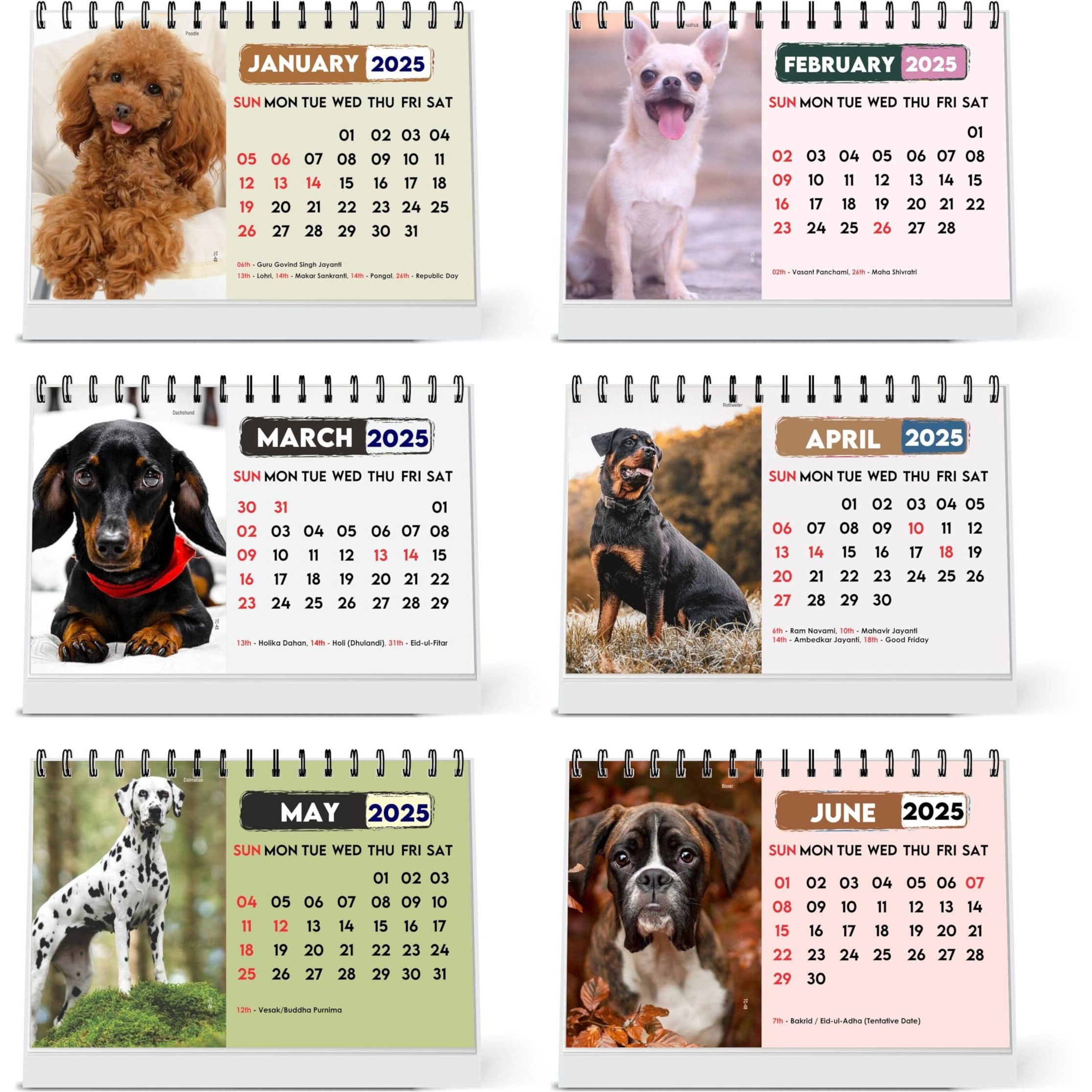 ESCAPER Dog Calendar 2025 Desk, Cute Puppy Calendar 2025, Puppies Calendar, Pet Dog Calendar, Cute Dog Calendar 2025, New Year Dog Calendar, Dog Desktop Calendar 2025, Dog Photo Calendar, Dog Lover