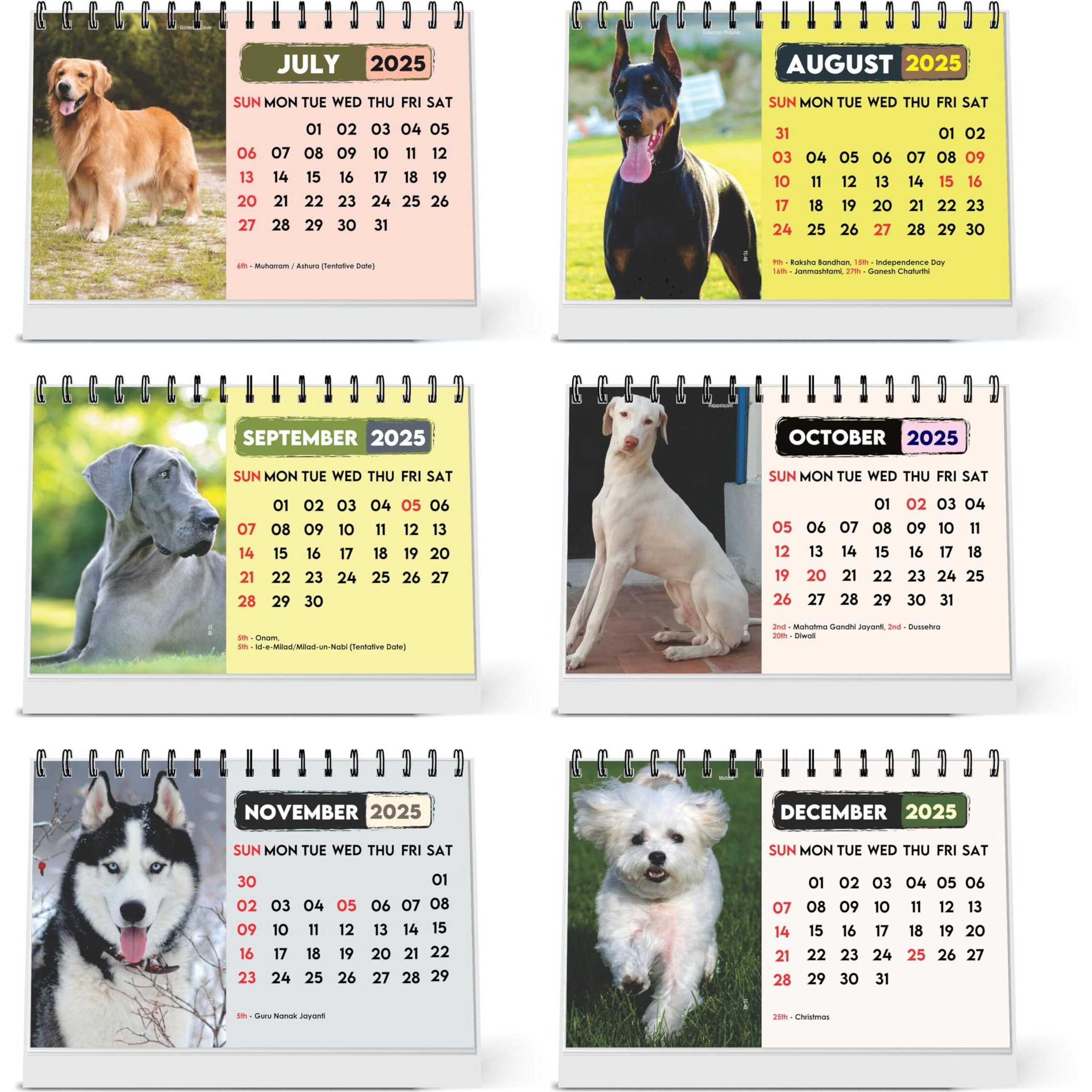 ESCAPER Dog Calendar 2025 Desk, Cute Puppy Calendar 2025, Puppies Calendar, Pet Dog Calendar, Cute Dog Calendar 2025, New Year Dog Calendar, Dog Desktop Calendar 2025, Dog Photo Calendar, Dog Lover